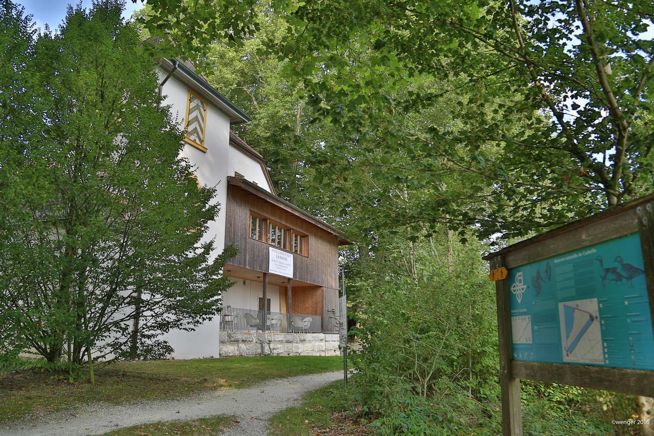 Hotel Domaine De La Sauge Cudrefin Exteriér fotografie